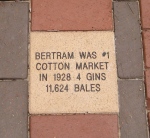 Bertram cotton production 1928